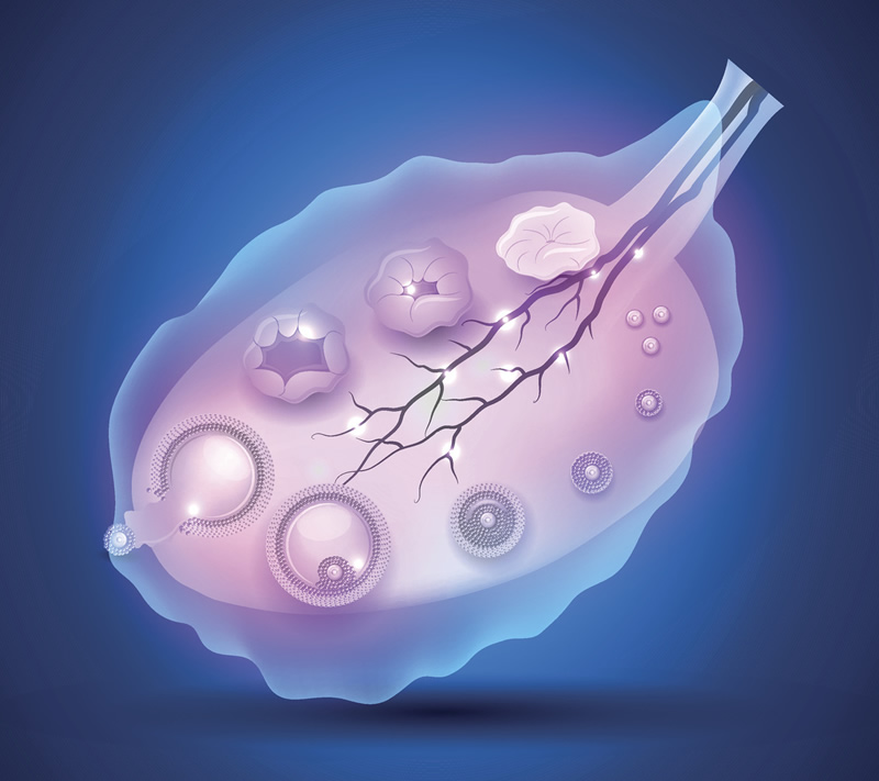 公布!南通年度三大助孕公司是哪三家 成功率怎么样？